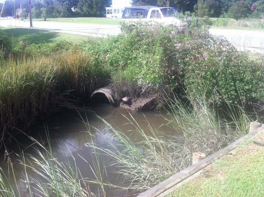 Put In Creek at Church Street 42" pipe two hours before predicted low tide of .28 ft       Photo: CJ Bova